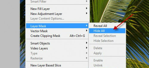 Layer Masks Photoshop
